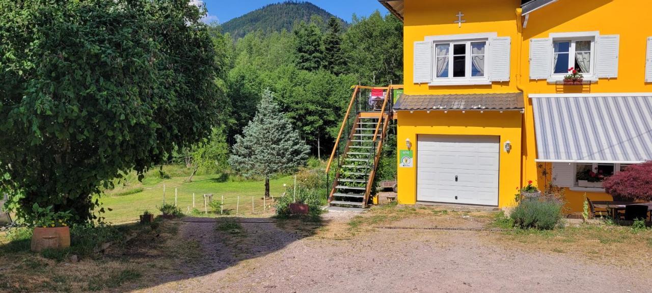 Gite Forestier Du Moulin Raon-sur-Plaine Exterior photo