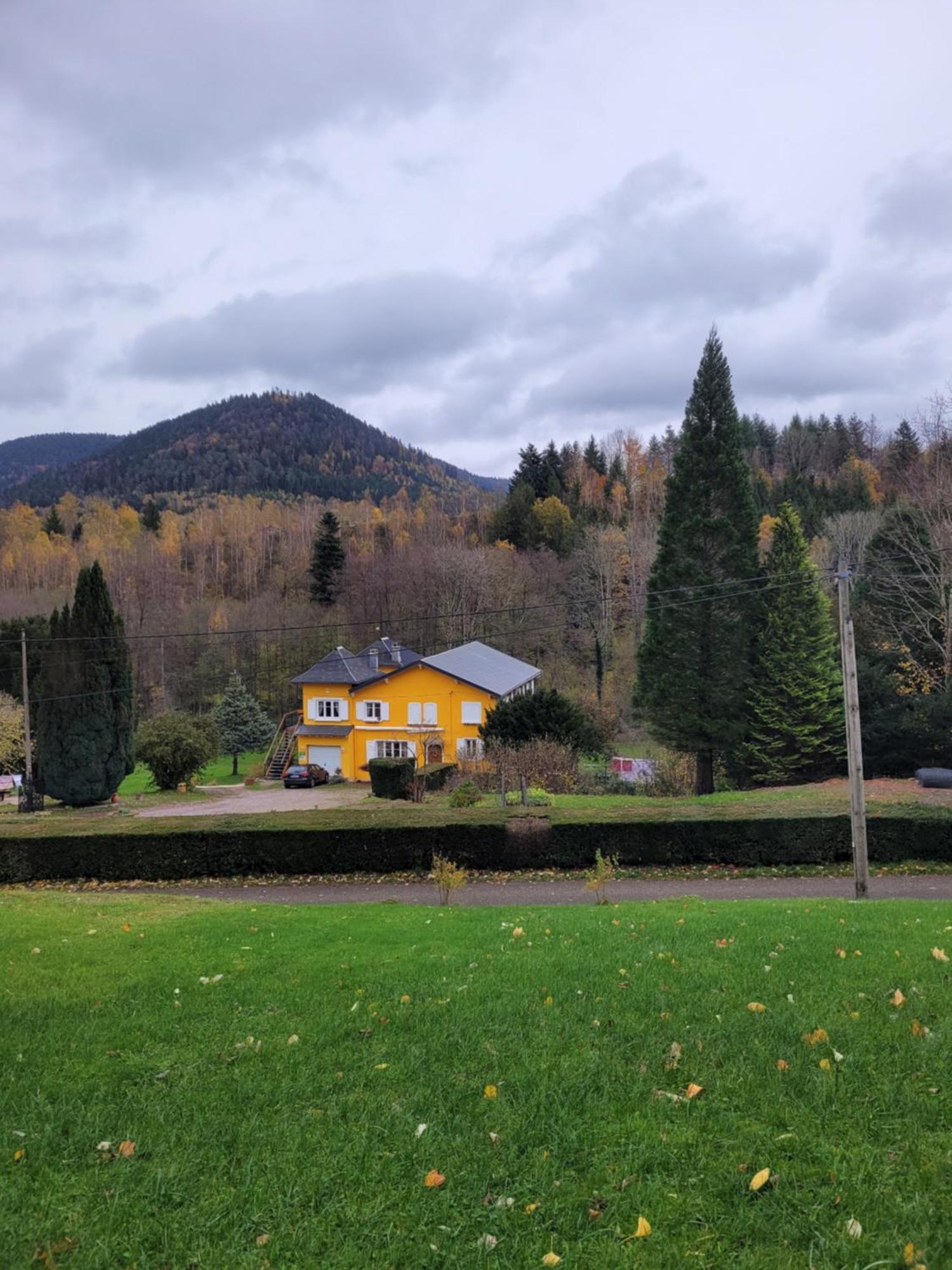 Gite Forestier Du Moulin Raon-sur-Plaine Exterior photo