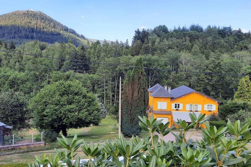 Gite Forestier Du Moulin Raon-sur-Plaine Exterior photo