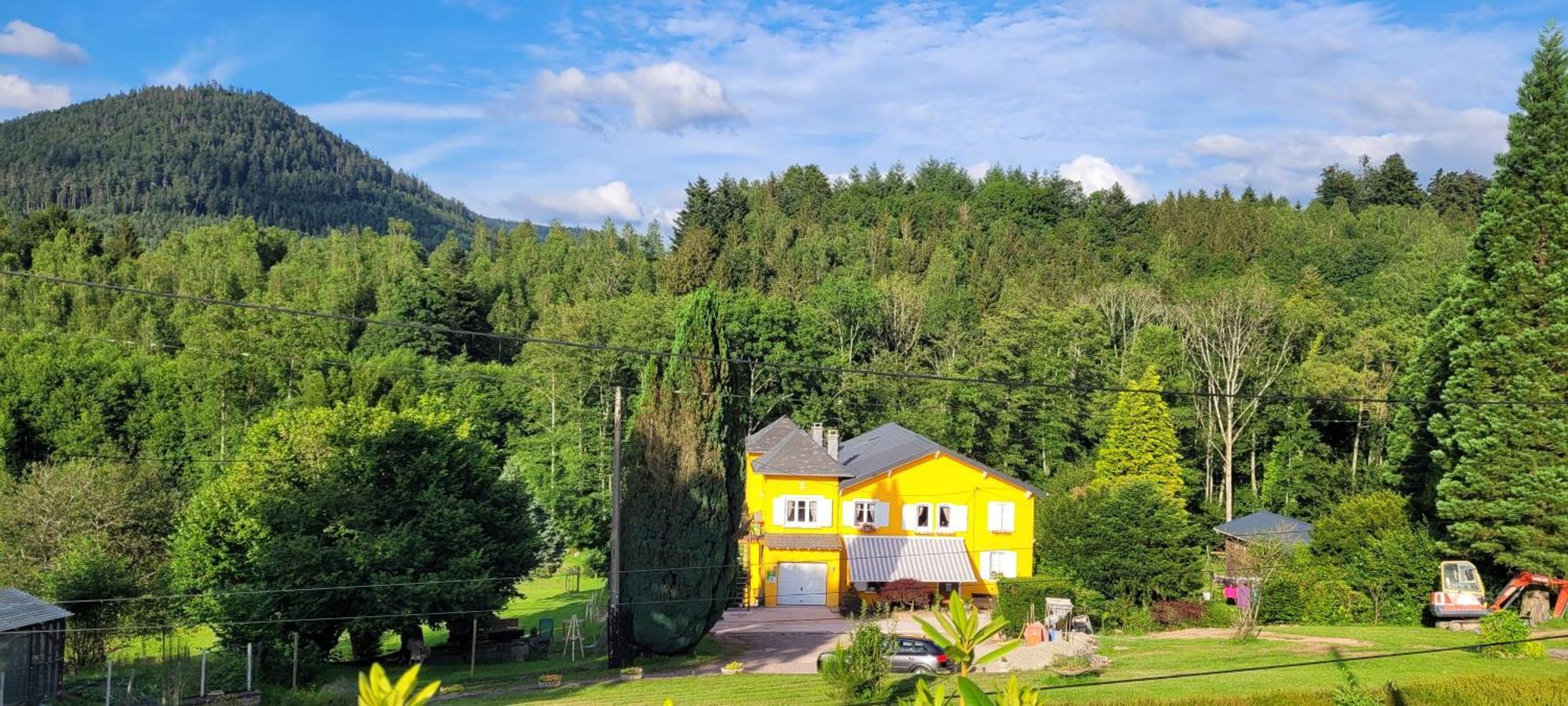 Gite Forestier Du Moulin Raon-sur-Plaine Exterior photo