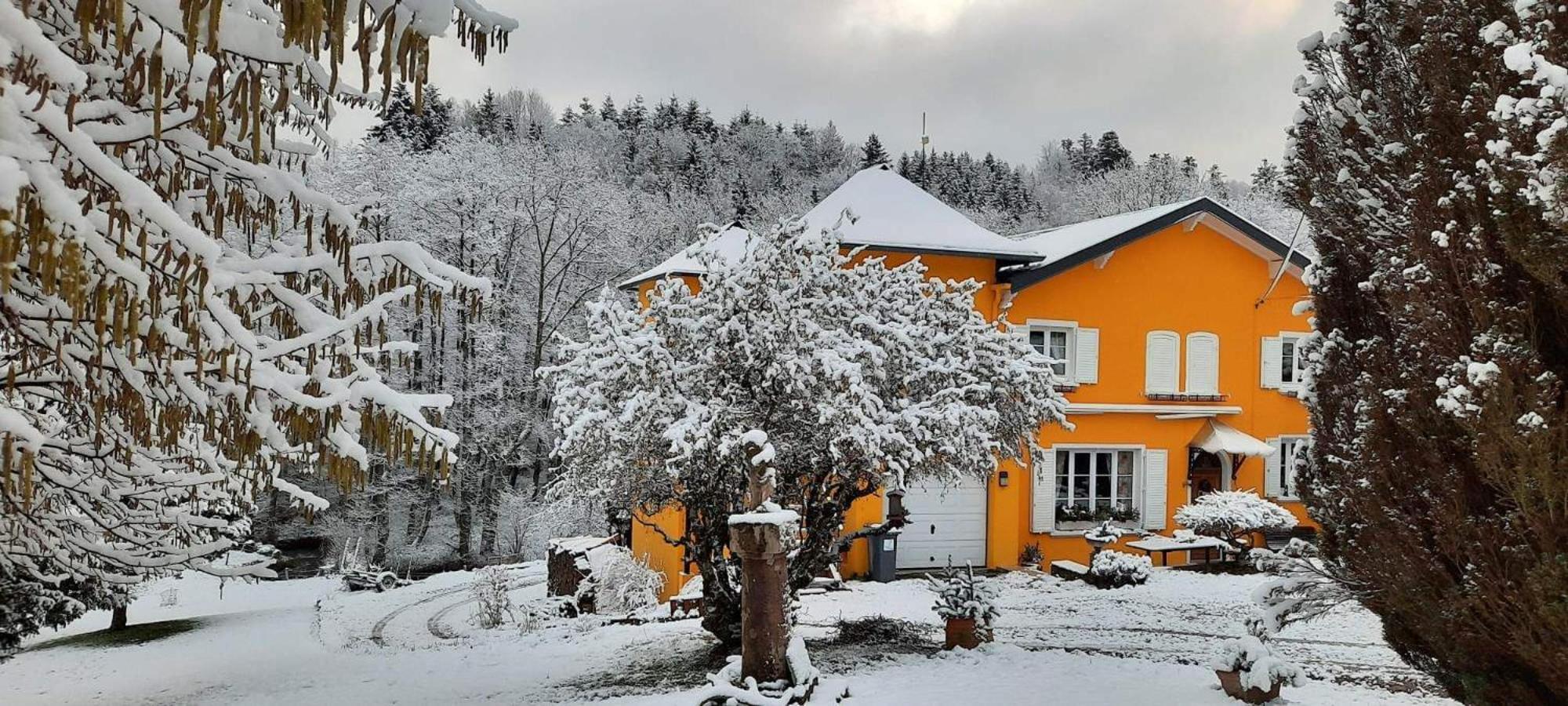 Gite Forestier Du Moulin Raon-sur-Plaine Exterior photo